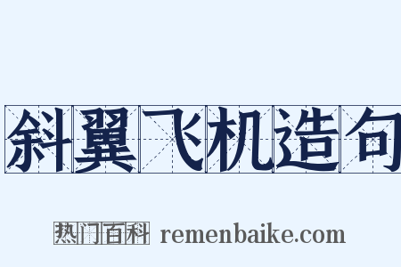 斜翼飞机造句是什么意思的图片